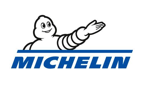 System obsługi szkoleń języków obcych dla firmy Michelin