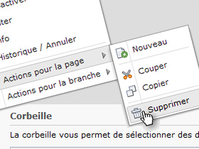 Récupérer les contenus et les pages supprimés d'un site web