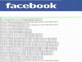 User participants in Facebook campaign statistics